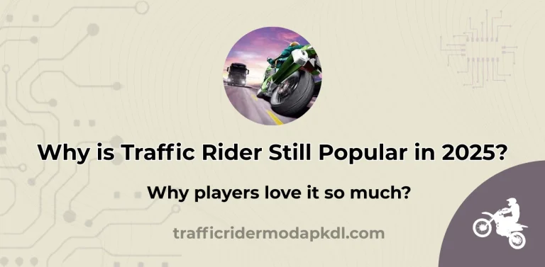Traffic Rider Still Popular